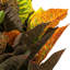 Croton artificiel 30 po
