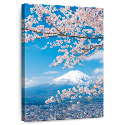 Alvord Mont Fuji Sakura Saison