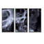 Vagues de marbre noir et blanc - ensemble d'art mural moderne sur toile encadrée 3-1711516260-1711516261