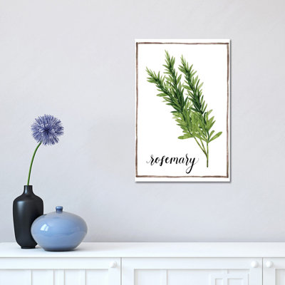 Watercolour Herbs V - Wrapped Canvas Print