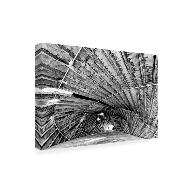 Art sur toile Tomas Bejar Manda Caracola Toyo Ito, H 16 po x l 24 po