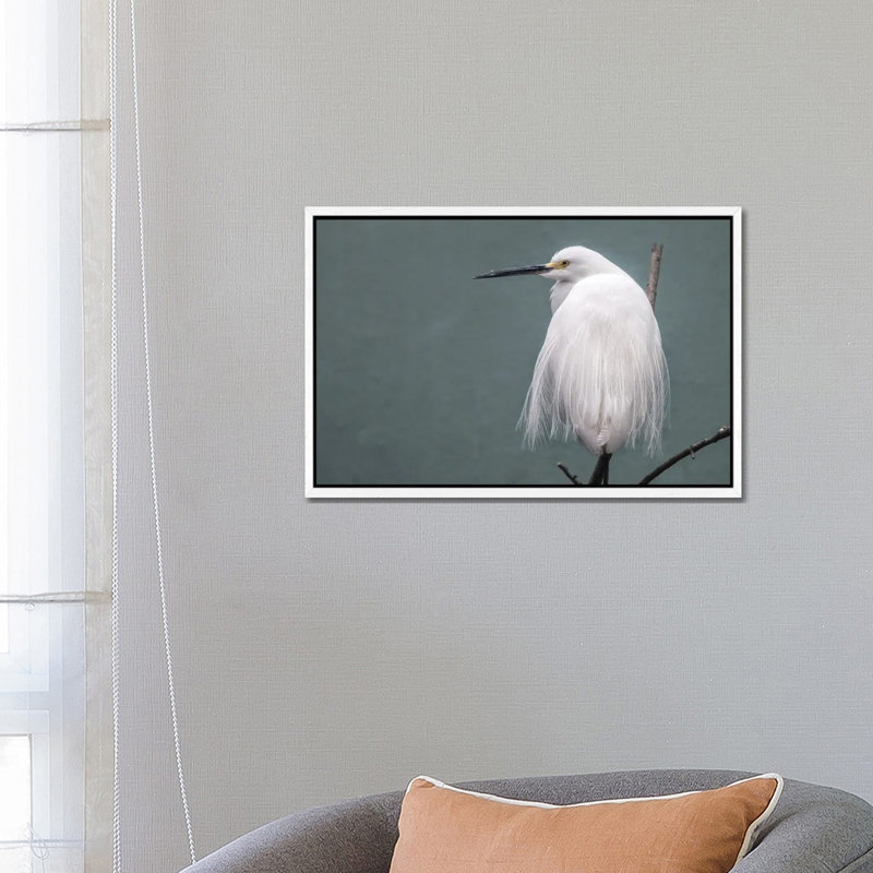 Egret by David Gardiner - Gallery-Wrapped Canvas Giclée on Canvas, White Framed, 66.04 cm H x 45.72 cm W