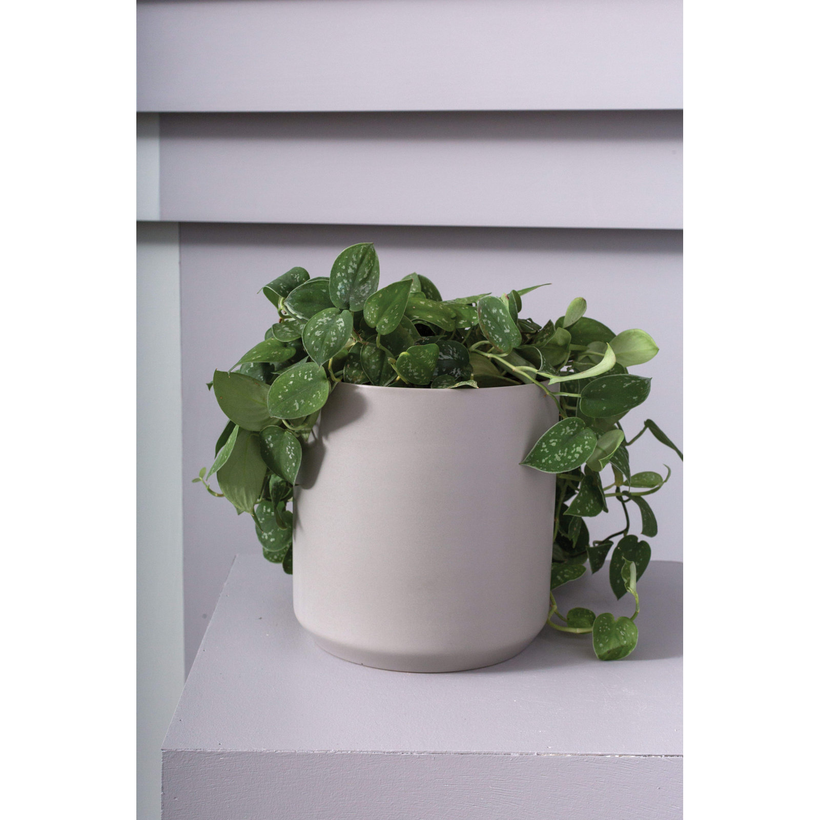 Parsons Ceramic Pot Planter, Gray, 2.75" H x 3.25" W x 3.25" D