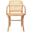 Fauteuil avec accoudoirs Sarianna-2061762012