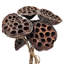 Rope Lotus Pod  Set of 6  23.5"  Natural