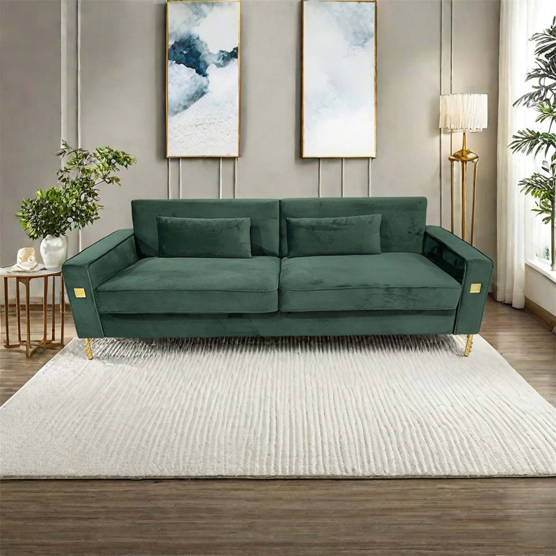 Un canapé en velours exquis avec un soutien personnalisé, un design élégant et des caractéristiques adaptées aux animaux de compagnie pour une expérience de salon confortable.