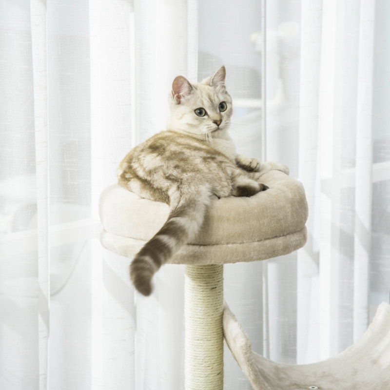 105cm H Cat Tree