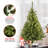 Kincaid Spruce Tree-860248362