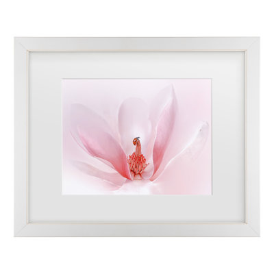 Bolog Summer2016 Ladybug Matted Framed Art