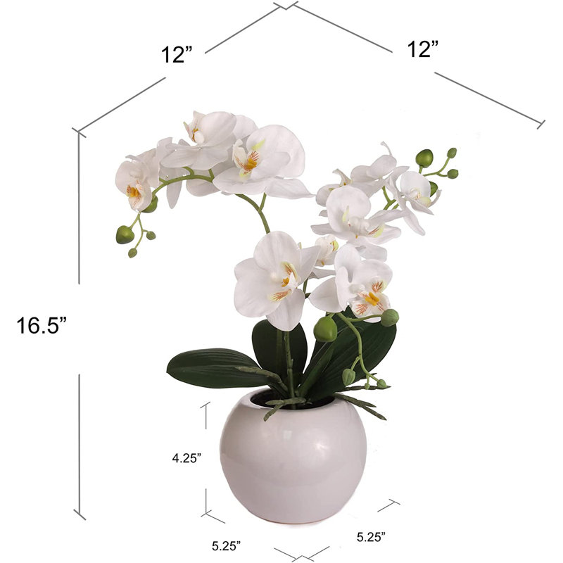 Arrangement floral orchidée en pot