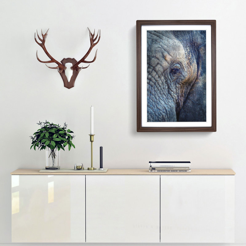Blue Elephant - Picture Frame Photograph Print, 63cm H x 45cm W x 2cm D, Walnut Framed