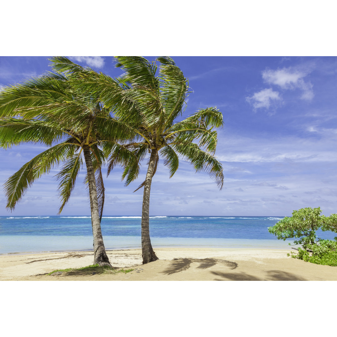 Tropical Beach von Dszc - Kunstdrucke auf Leinwand ohne Rahmen