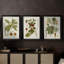 Antique Leaves I - Toile tendue avec châssis sur mesure - 3 pièces-1215669159-1215669160