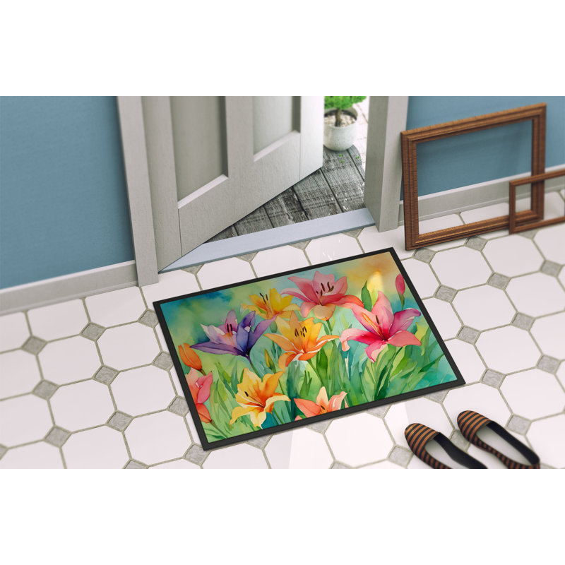 Leanora Non-Slip Doormat, 18" W x 27" L