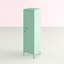 Quezada 1 -Door 2 -Shelf Storage Cabinet-1679486822