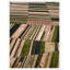 Warm Fields 1 Print by Nathan Turner