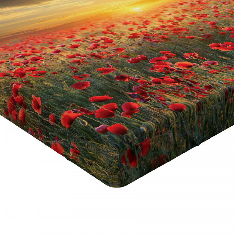 Microfiber Fitted Sheet, Twin XL Fitted Sheet