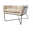 Recie Lounge Chair With Toughened Iron Frame-153846230