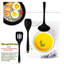 Belfry Kitchen Osage 11 Balloon Whisk