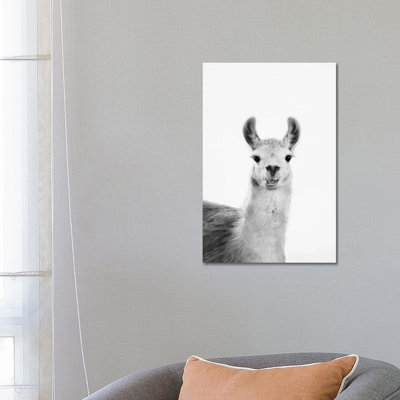Happy Lama 1 Piece Wrapped Canvas Wall Art