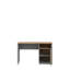 Phineas Commercial Use 120Cm W Rectangle Computer Desk with Cabinet