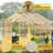 Outdoor Wooden Greenhouse with Polycarbonate Panels & Lockable Door 8x8 FT