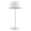 Lampe de table à DEL rechargeable Rowland