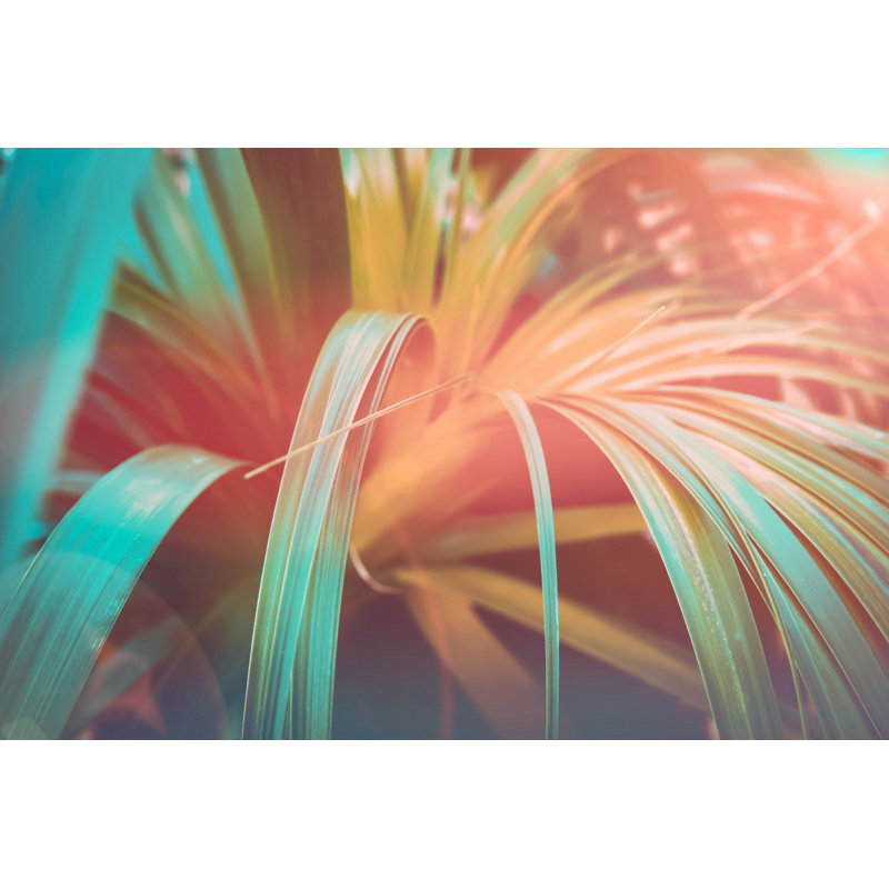 «Tropical Plant» par Olindana - Photographie sur toile tendue, L 18 po x H 12 po
