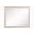 Tasnim Mirror