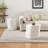 COFFEE TABLE SET