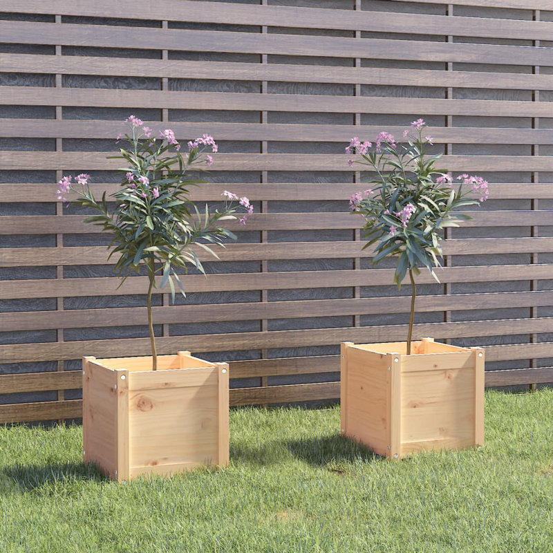 Jardinières en bois massif 2 pièces 15,7 po x 15,7 po x 15,7 po Arlmont & Co.