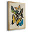 Collage Butterflies II, reproduction d'art encadrée-1369986121-1369986126