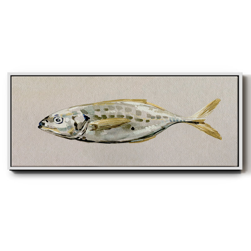Fresh Fish Study II- Framed Canvas, 8" H x 20" W