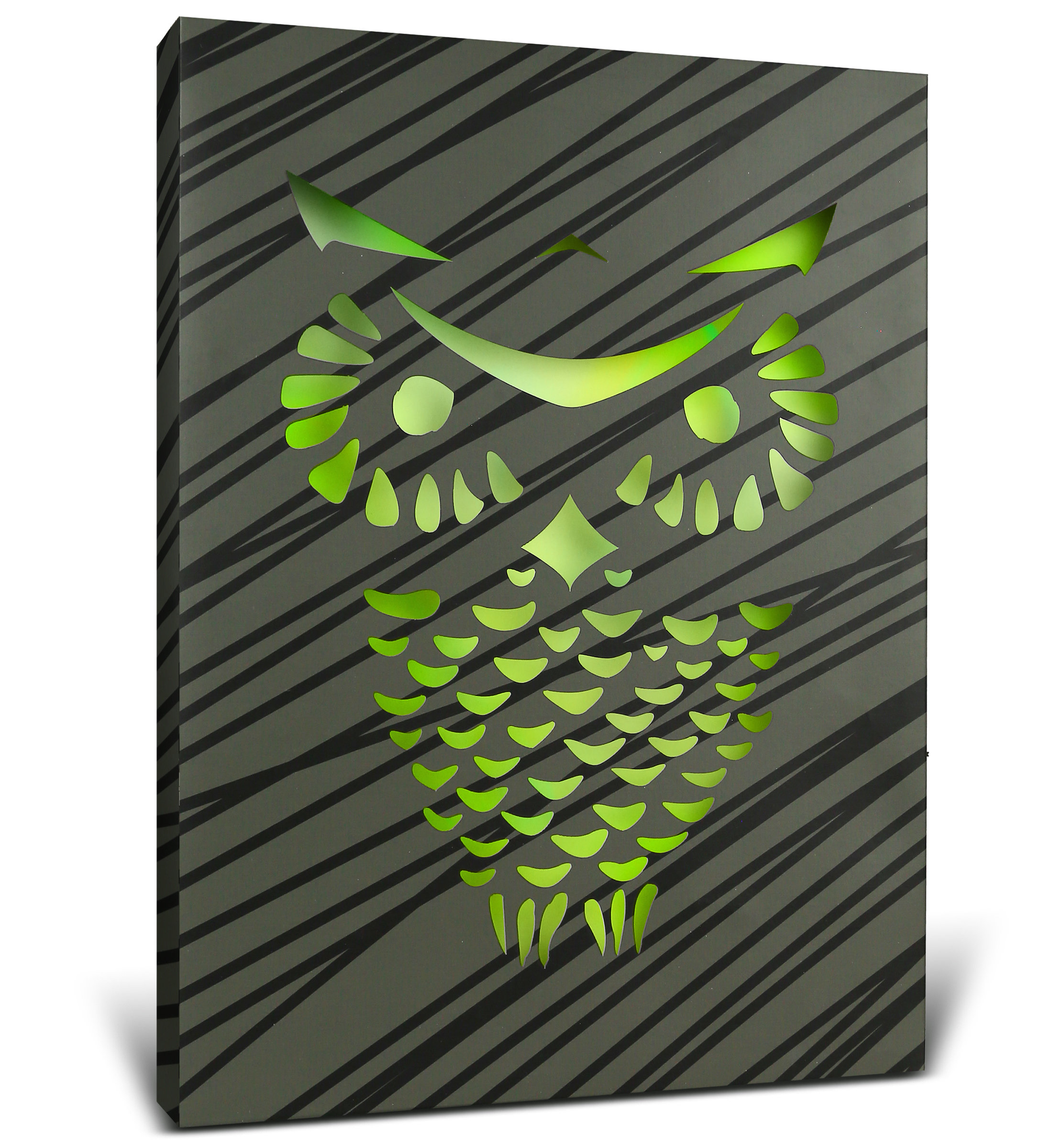 Loon Peak Owl Light Up Led Wall Art Fun Changing Color Led Light Up