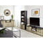 Coelia 163cm H x 57cm W Library Bookcase