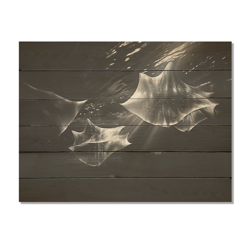 Danse de manta sous l'eau abstraite - art mural bois de corail sous l'eau sur bois de pin naturel, H 10 po x l 20 po