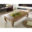 Opium Solid Wood Four Leg Coffee Table-47603200-47603199