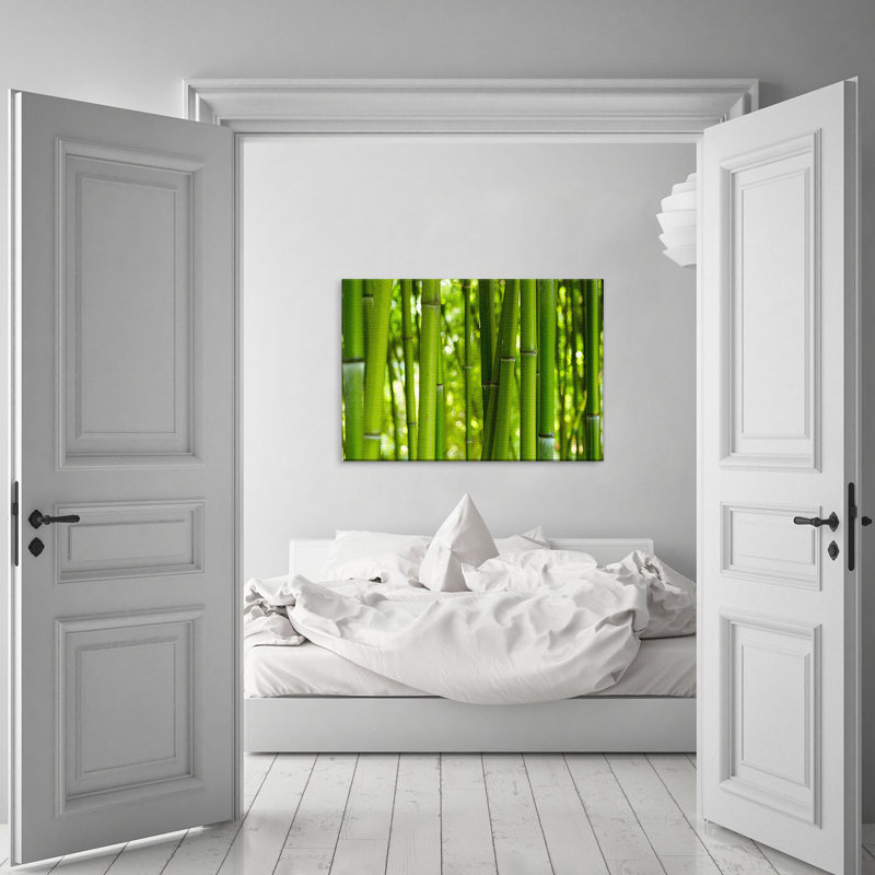 Bamboo - Wrapped Canvas Print, 70cm H x 100cm W x 4cm D