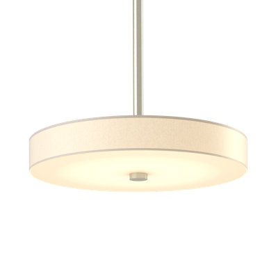 Luminaire suspendu cylindrique à 1 lumière DEL Disq