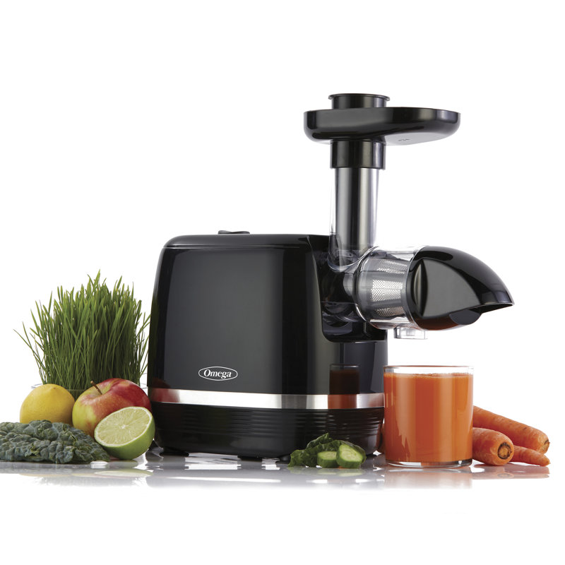 Omega Cold Press 365 Compact Masticating Horizontal Juicer, Black