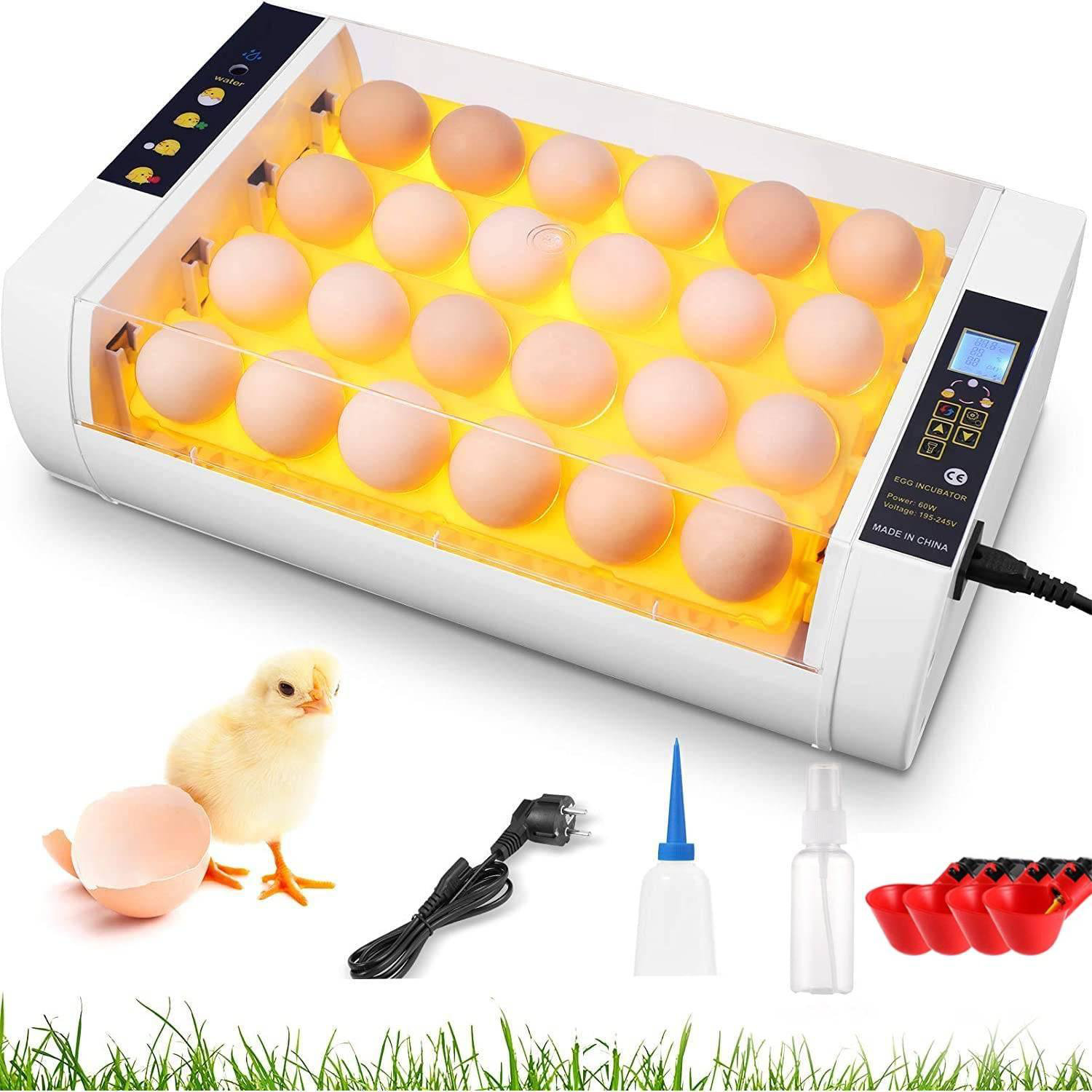 Incubator/Brooder Thermometer - My Pet Chicken