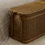 Rowina Trunk