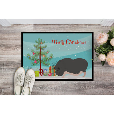 Selby Non-Slip Christmas Outdoor Doormat
