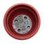 Ensemble de pots de fleurs d'intérieur / extérieur à arrosage automatique 6 po Ariana-88036106-92162957-91832511