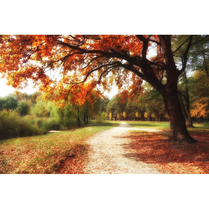 Large Oak Tree - Wrapped Canvas Print, 20cm H x 30cm W x 3.8cm D