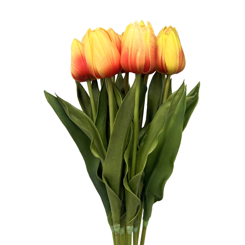 Tiges de tulipe Real Touch, Orange