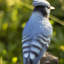 Polyresin Garden Statue