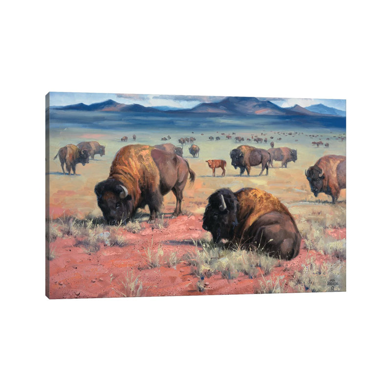 Home OntheRange by Jack Sorenson - Wrapped Canvas Painting, 30.48 cm H x 45.72 cm W
