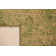 Vela Abstract Area Rug