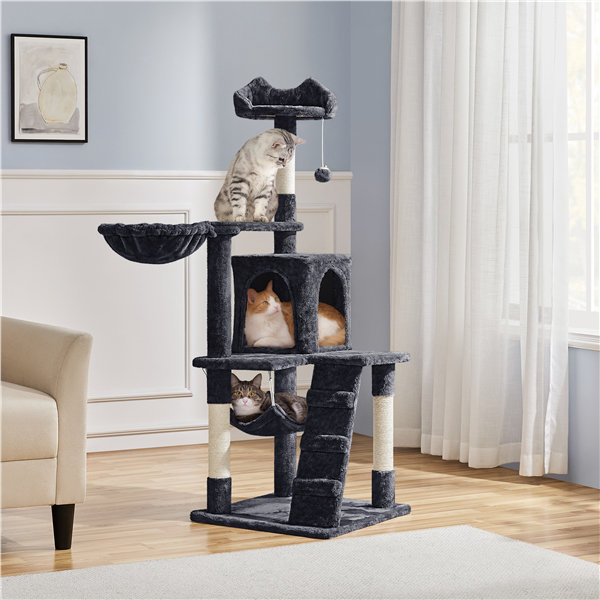 Arbre à chat Sievers, Noir